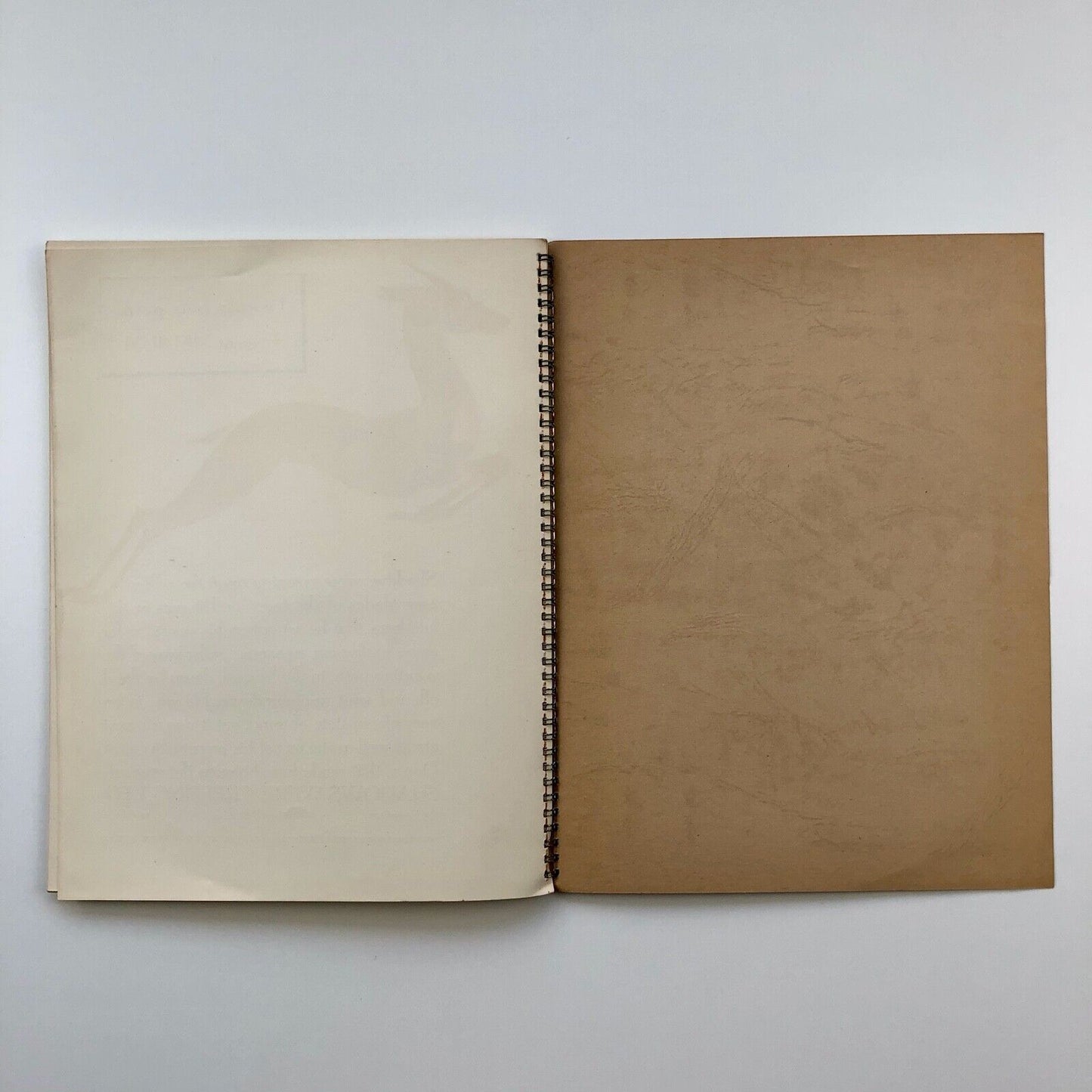 Egmont Light and Medium | Type specimen booklet Intertype, Slough | Sjoerd Hendrik de Roos