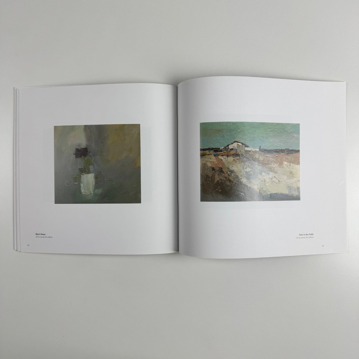 Elsa Taylor. Aspects of Colour | Lemon Street Gallery 2017