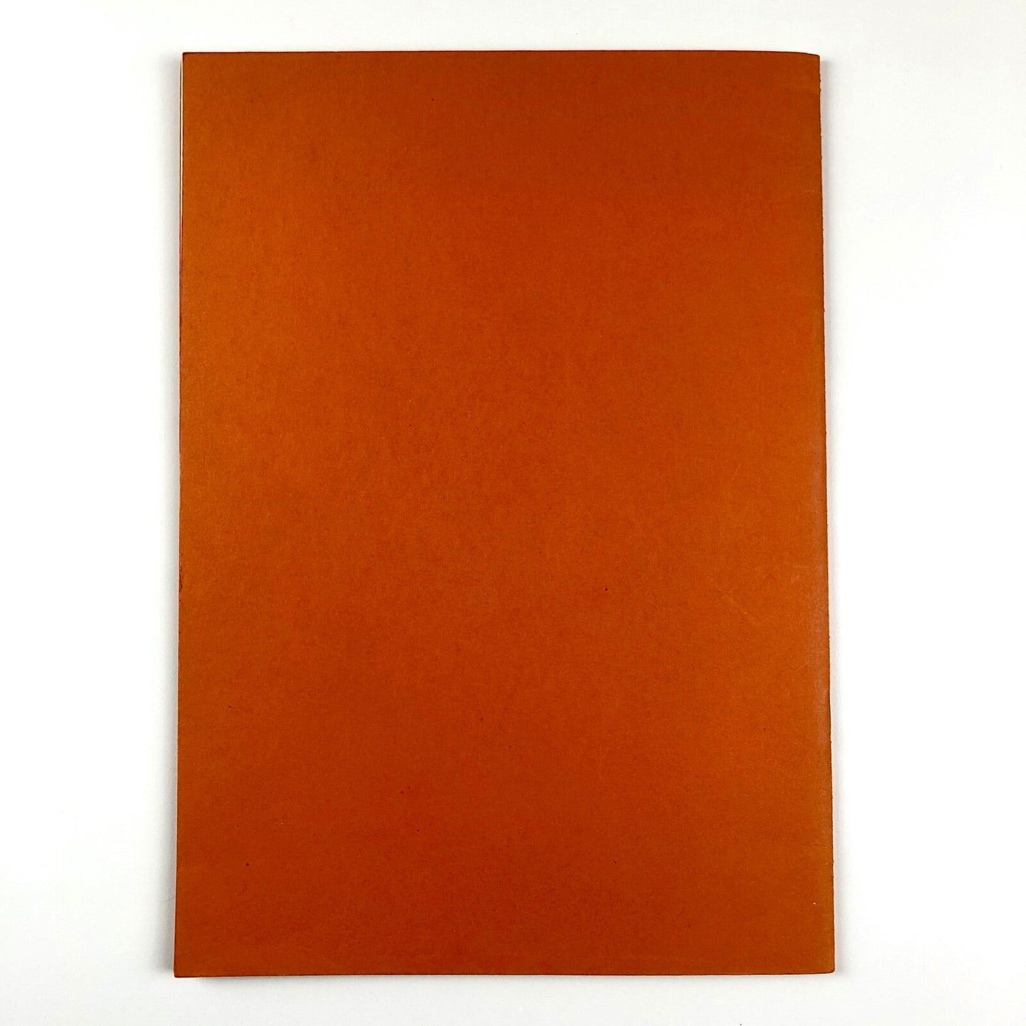 The Challenge of the Art Catalogue | Lund Humphries guide | Undated