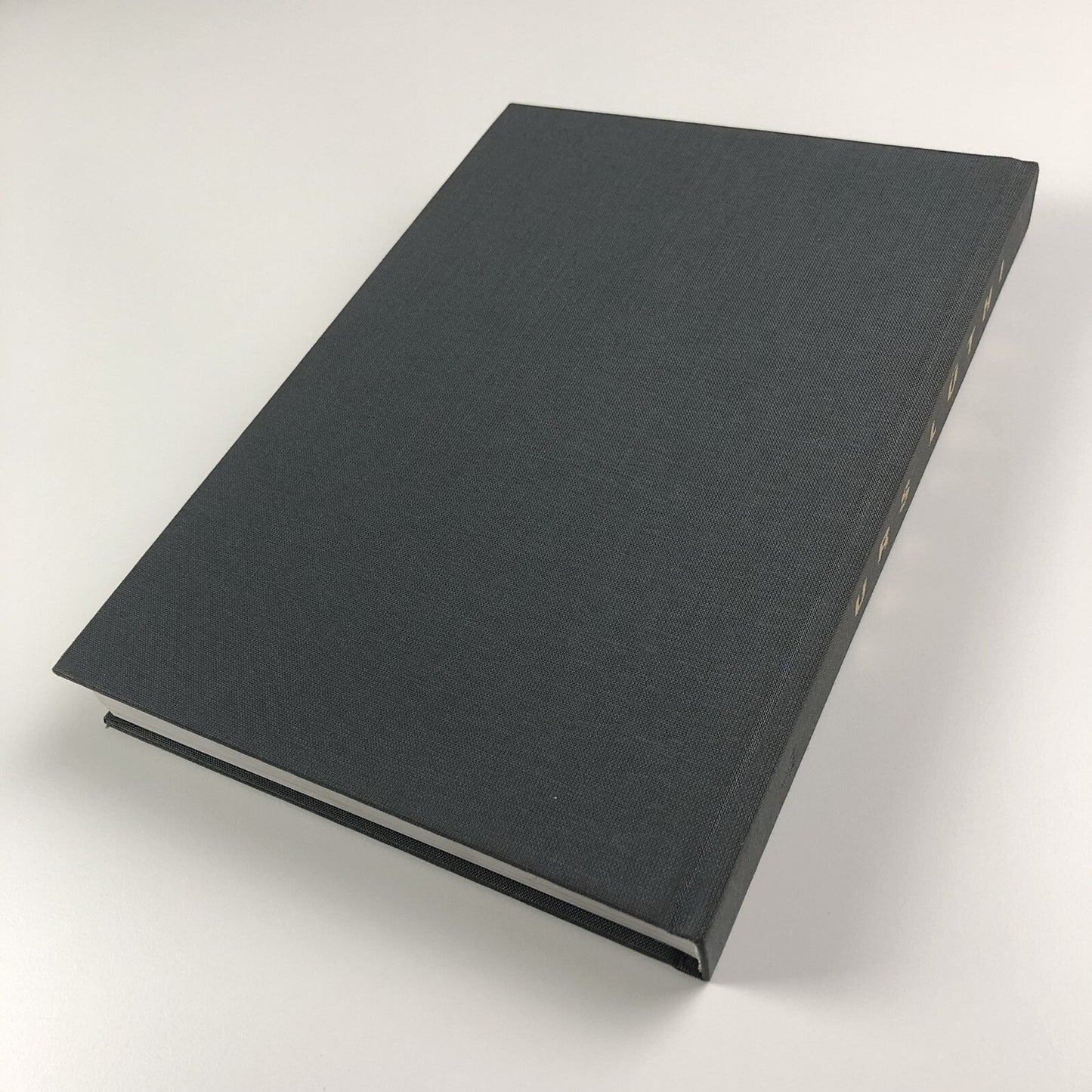 Urs Lüthi | Bonner Kunstverein | Ritter Klagenfurt exhibition catalogue, 1993