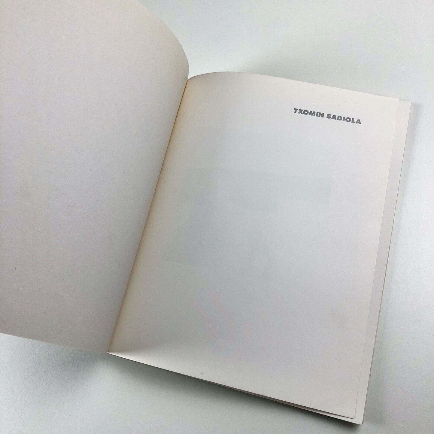 Txomin Badiola | Galeria De Arte Soledad Lorenzo, Madrid exhibition catalogue, 1987
