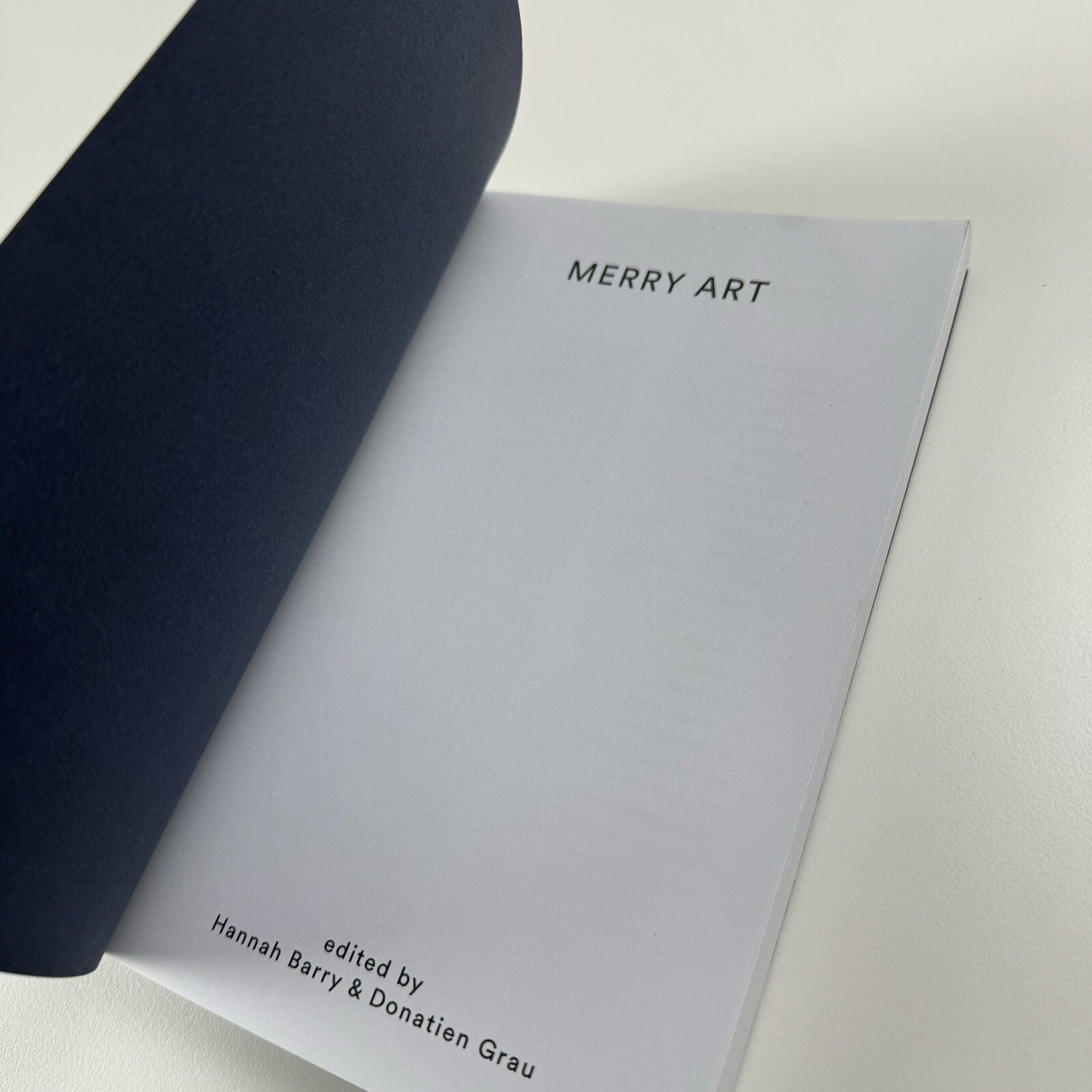 Merry Art | Edited by Hannah Barry and Donatien Grau | Hannah Barry Gallery 2015