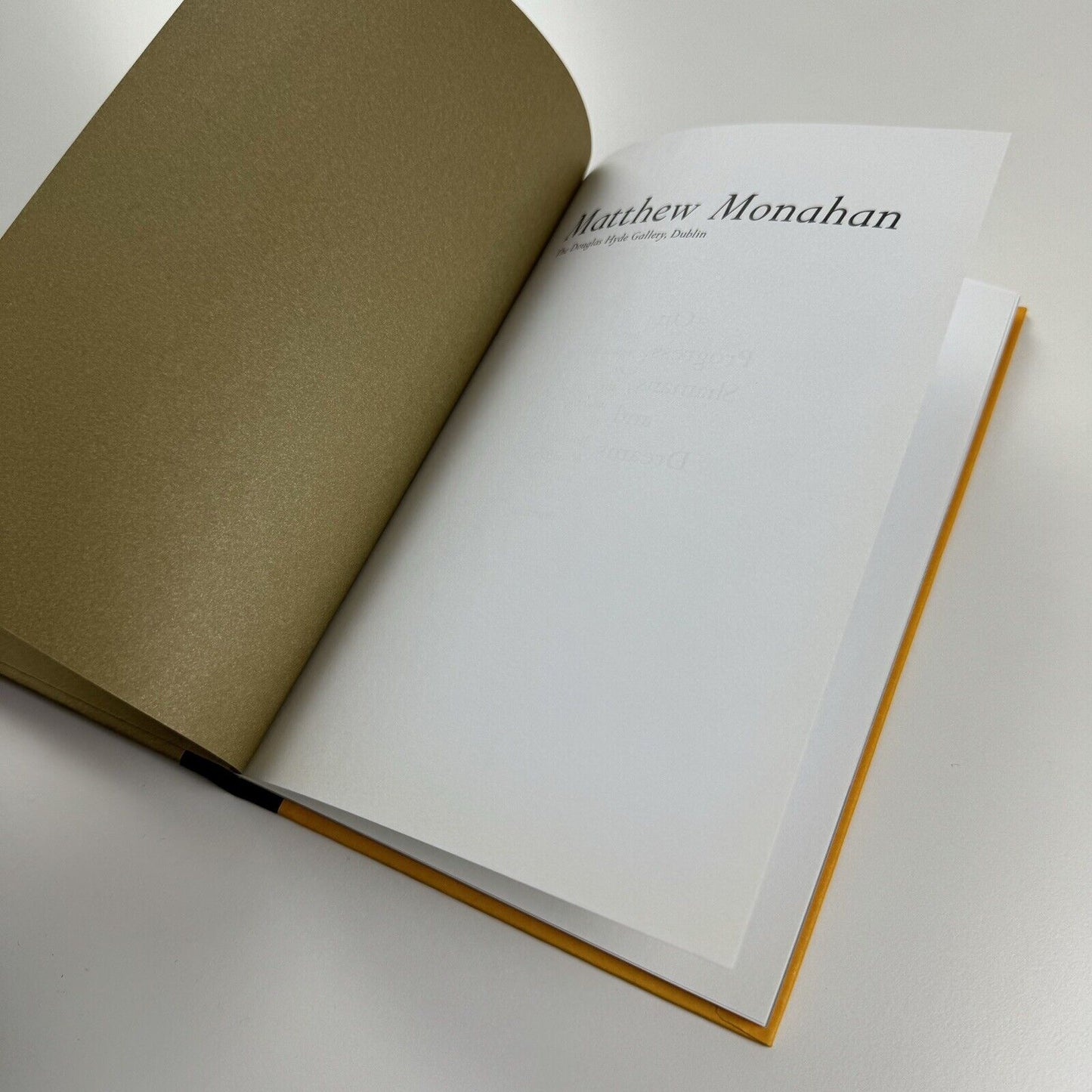 Matthew Monahan | Douglas Hyde Gallery, Dublin, 2007