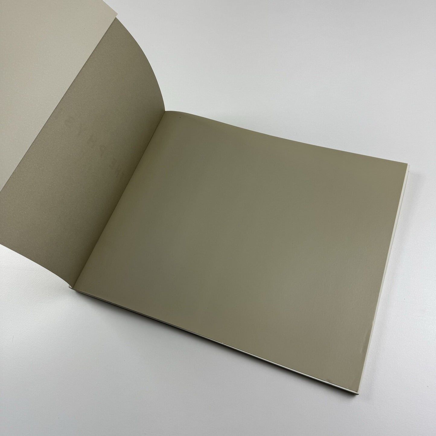 Physical World: An Exhibition of Painting and Sculpture | Gagosian Gallery New York, 2002