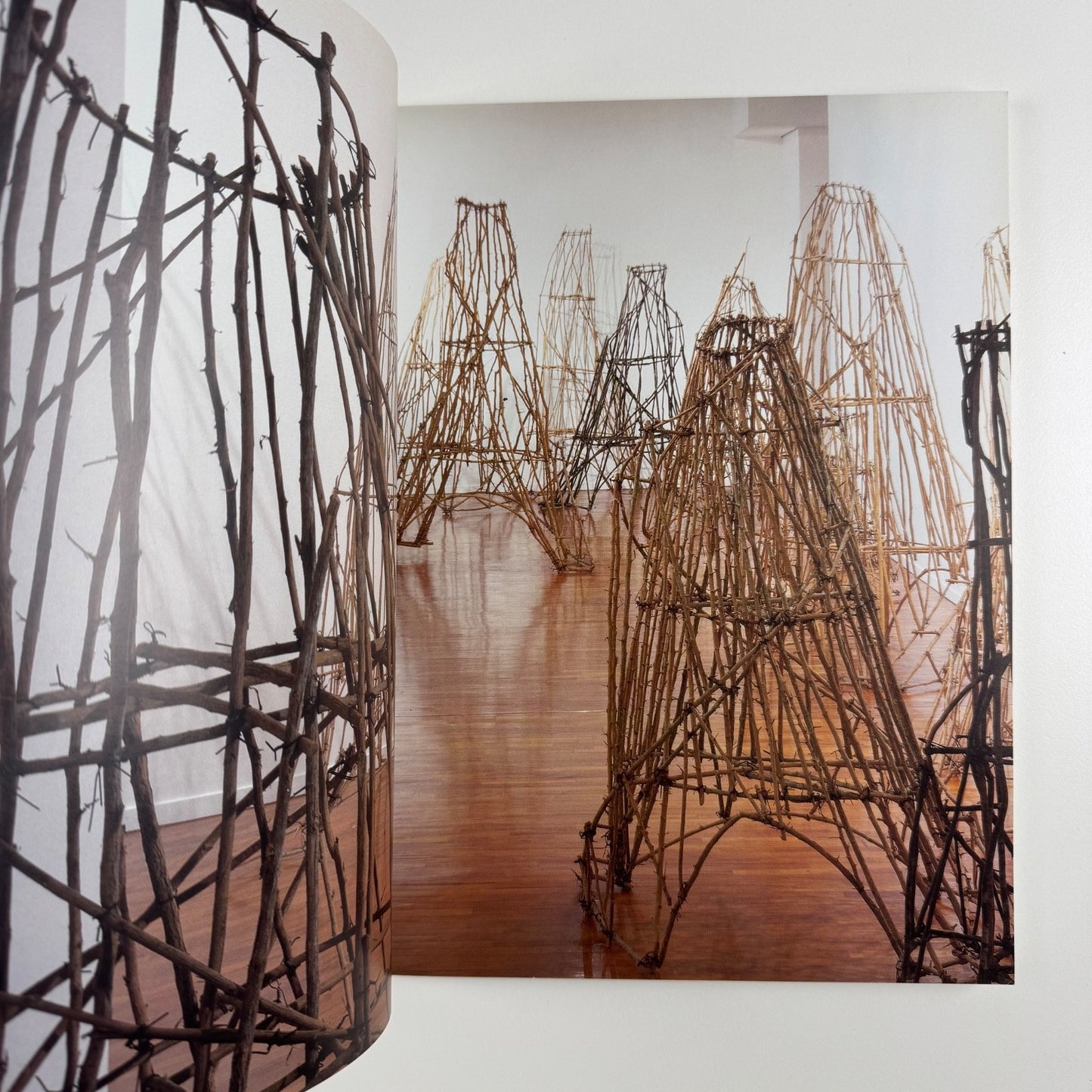 Kcho. La Jungla | GAM Torino, 2002