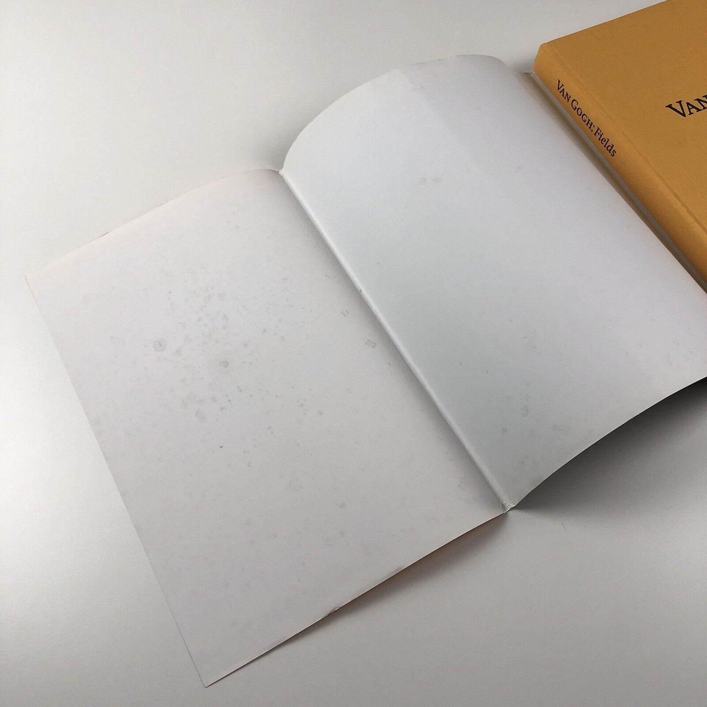 Van Gogh: Fields. The Field with Poppies and the Artists’ Dispute | Edited by Wulf Herzogenrath and Dorothee Hansen | Hatje Cantz, 2002