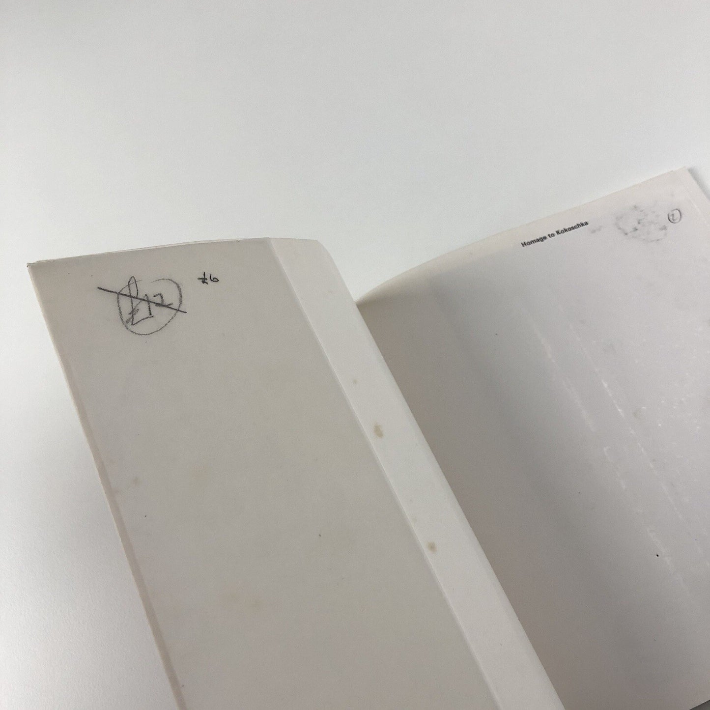 Homage to Kokoschka | Marlborough catalogue 1966