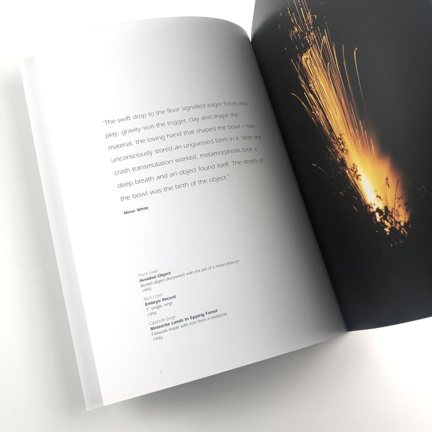 Cornelia Parker: Avoided Object | Foreword by Stuart Cameron 1996