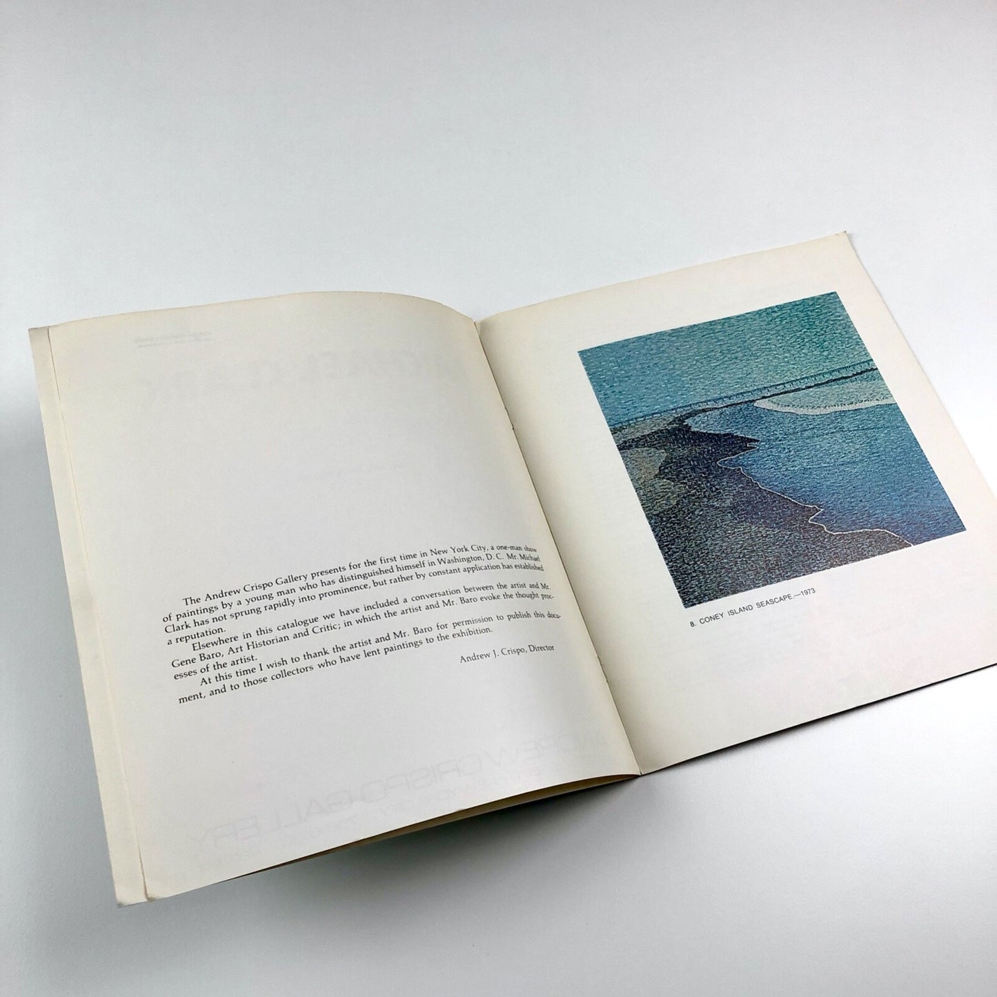 Michael Clark | Andrew Crispo Gallery, New York | January-February 1973