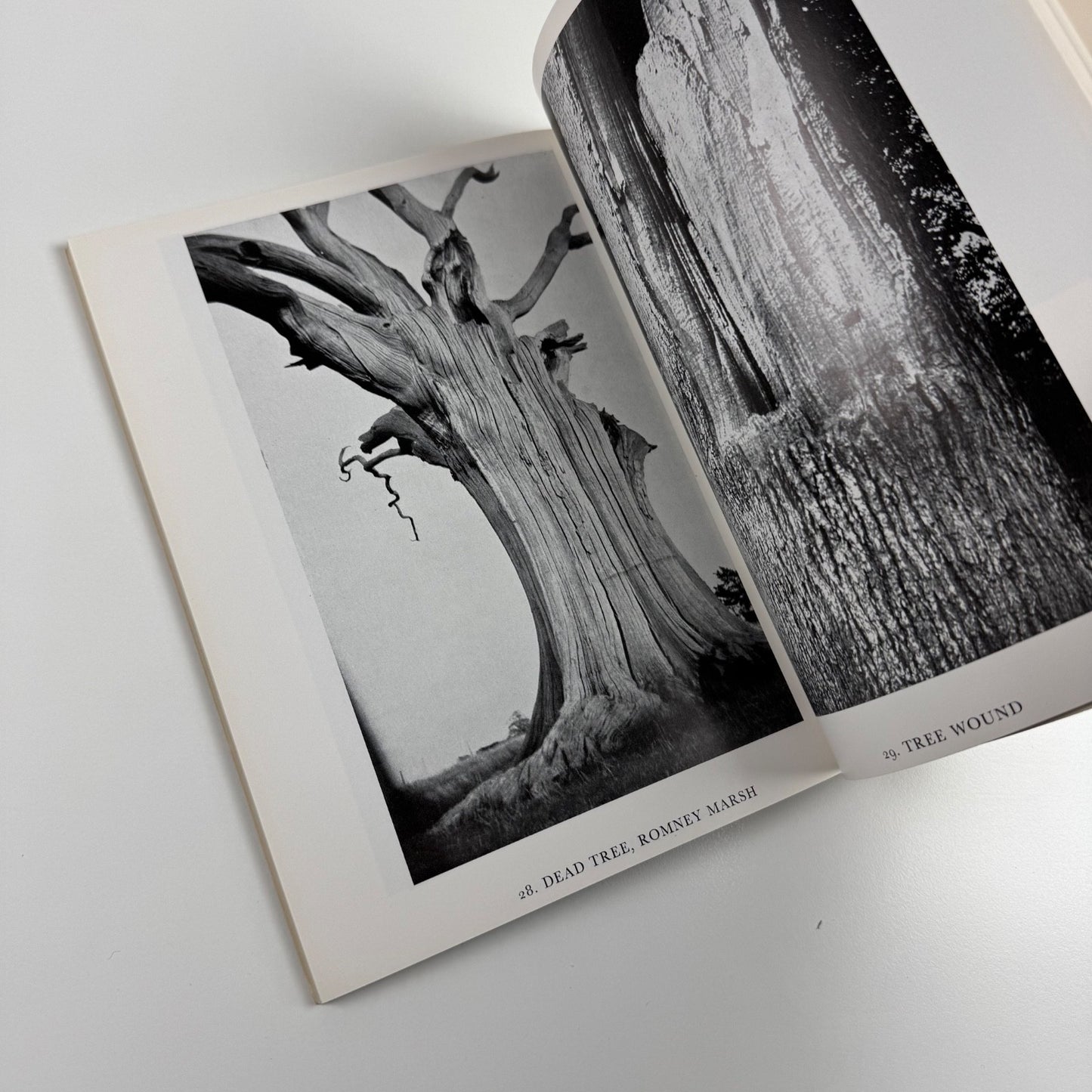 Paul Nash. Fertile Image edited by Margaret Nash | Faber & Faber, 1975