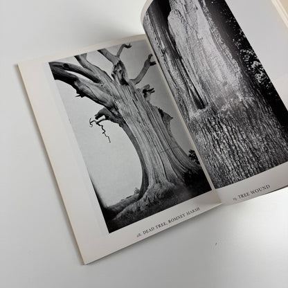 Paul Nash. Fertile Image edited by Margaret Nash | Faber & Faber, 1975