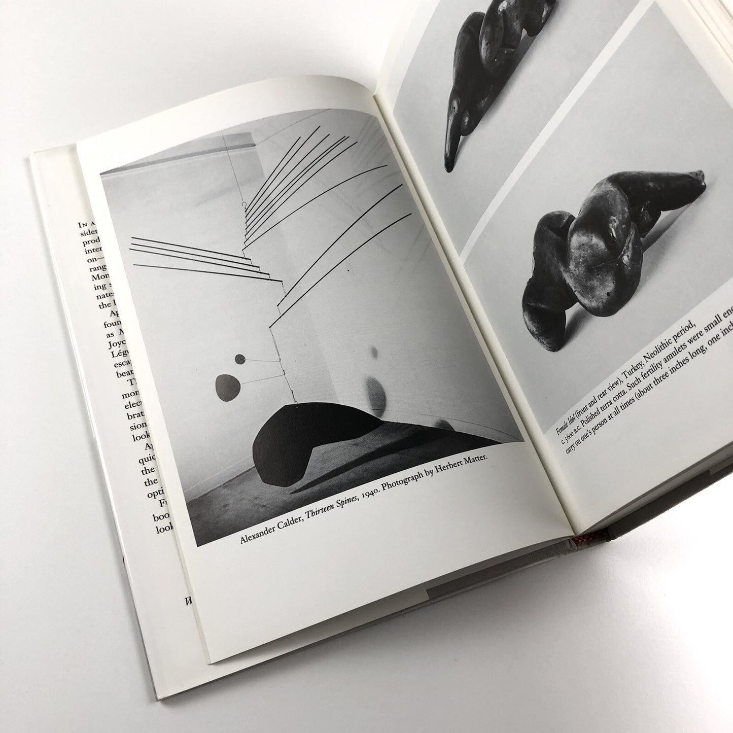 The art of celebration – Twentieth-century painting, literature, sculpture, photography, and jazz by Alfred Appel, Jr 1993