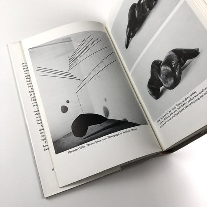 The art of celebration – Twentieth-century painting, literature, sculpture, photography, and jazz by Alfred Appel, Jr 1993