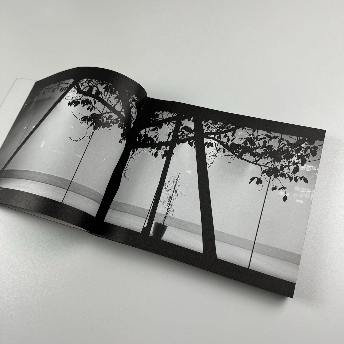 Olafur Eliasson – Your Chance Encounter | 21st Century Museum of Contemporary Art, Kanazawa, Japan, 2010