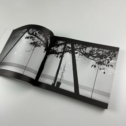Olafur Eliasson – Your Chance Encounter | 21st Century Museum of Contemporary Art, Kanazawa, Japan, 2010