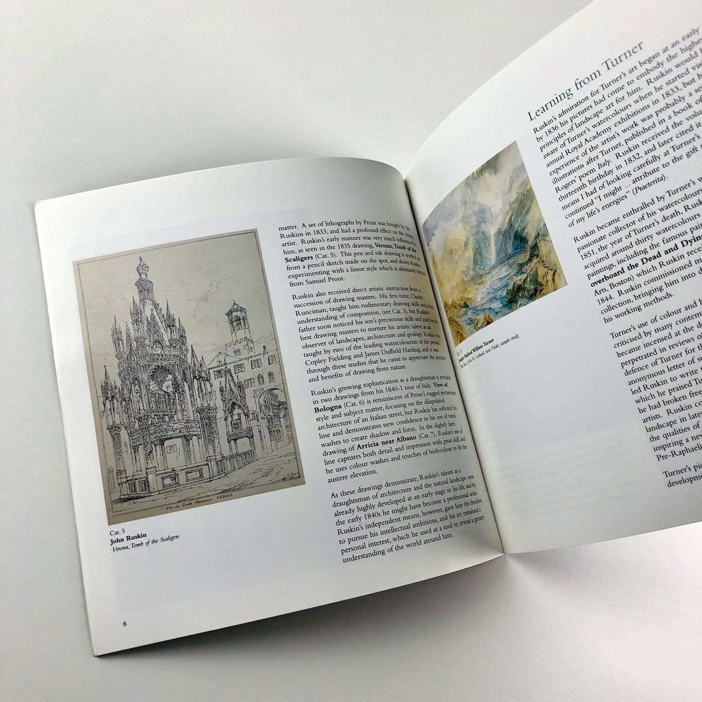 Ruskin and the Light of Nature | Abbot Hall Art Gallery catalogue, 2000