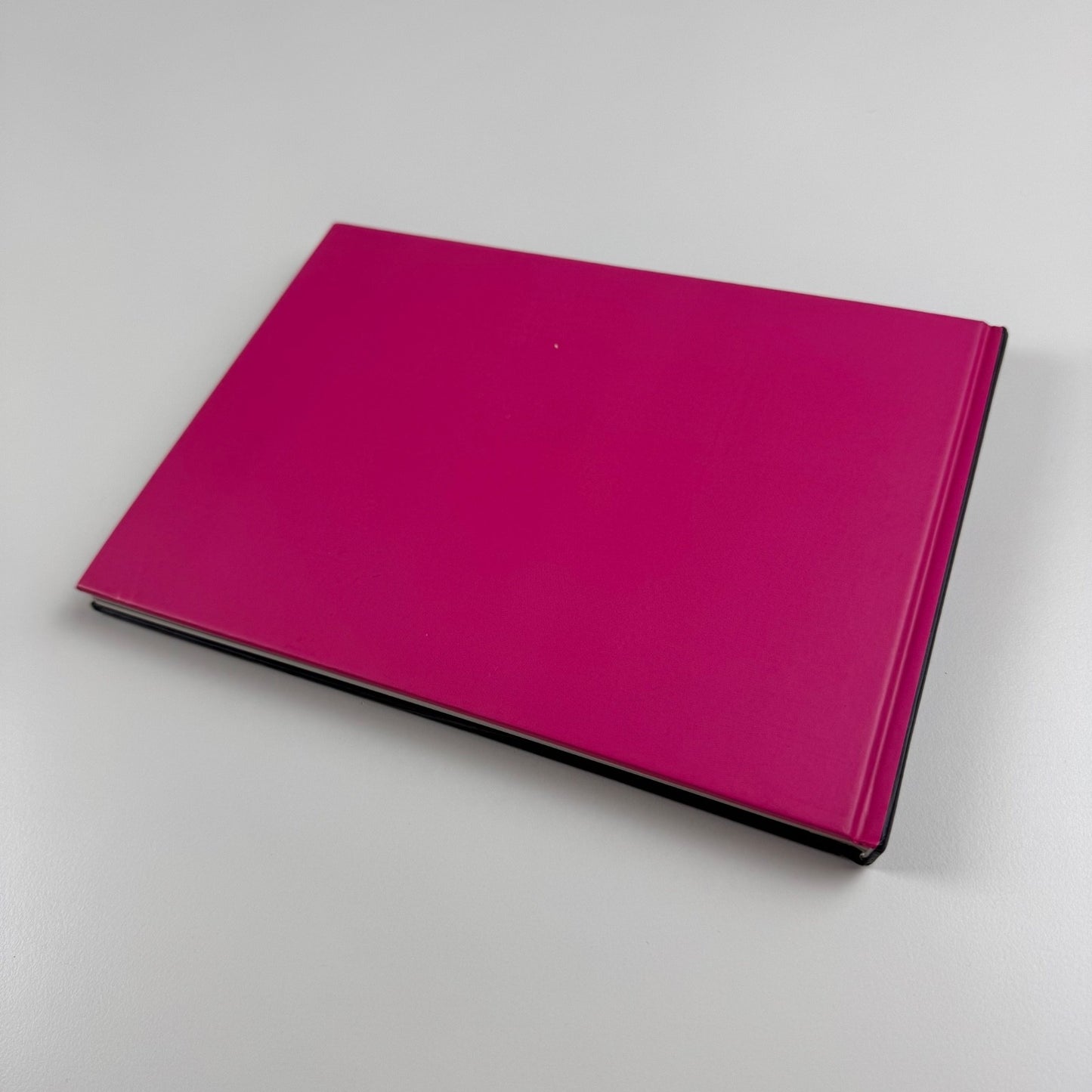 Daniel Douke. Sein & Schein. Beyond Appearance | Kerber Art | LEVY Gallerie, 2009