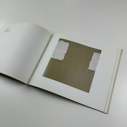 Physical World: An Exhibition of Painting and Sculpture | Gagosian Gallery New York, 2002