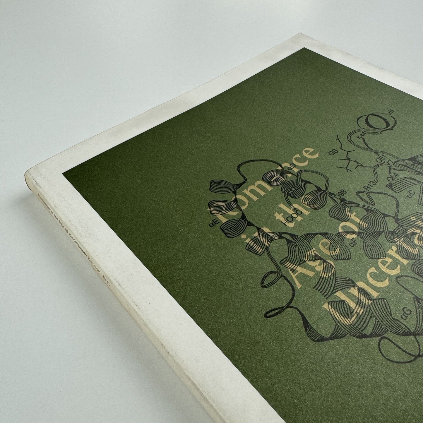 Romance in the Age of Uncertainty | Damien Hirst | White Cube catalogue | Jay Jopling, 2003