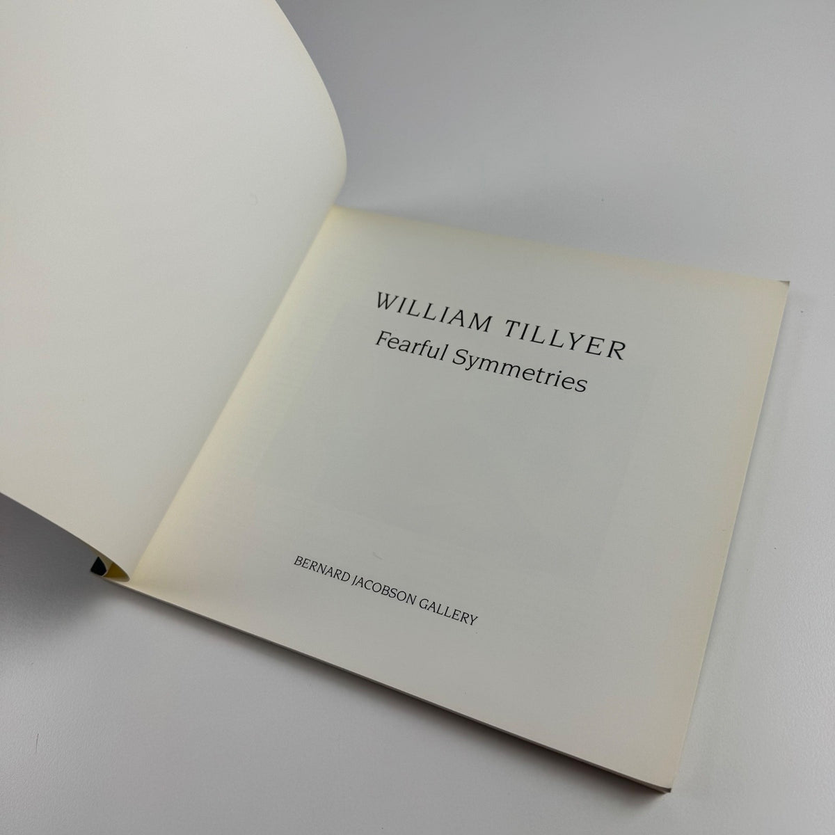 William Tillyer. Fearful Symmetries | Bernard Jacobson Gallery 1993