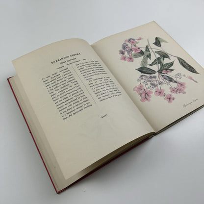 English Garden Flowers by John Nash | Duckworth, London, 1948