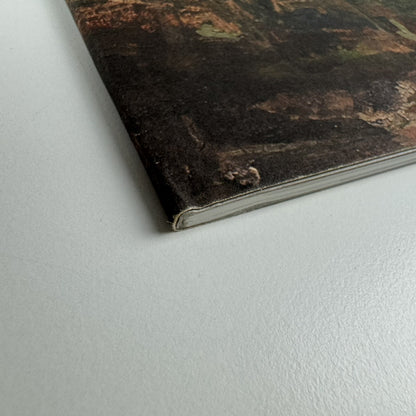 Emily Patrick – Recent Paintings 2002-2005 | The Air Gallery catalogue, 2005