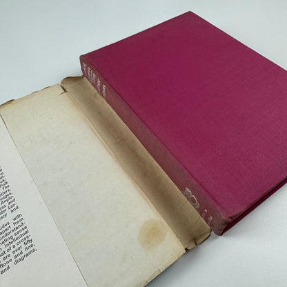 The Mother Tongue in quiz and colour by Lancelot Hogben | Secker & Warburg, 1964