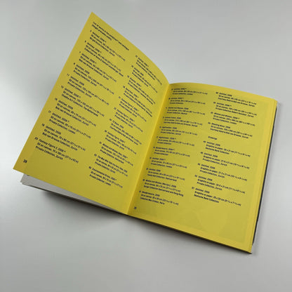 Armen Eloyan. Two Feet in One Shoe | Parasol Unit catalogue, 2007