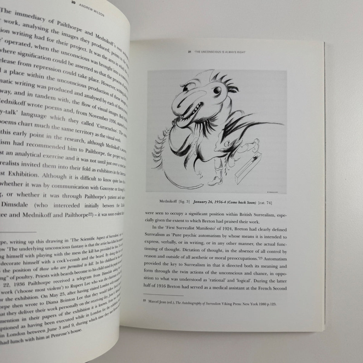 Sluice Gates of the Mind The Collaborative Work of Pailthorpe & Mednikoff | 1998