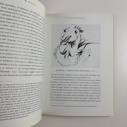 Sluice Gates of the Mind The Collaborative Work of Pailthorpe & Mednikoff | 1998