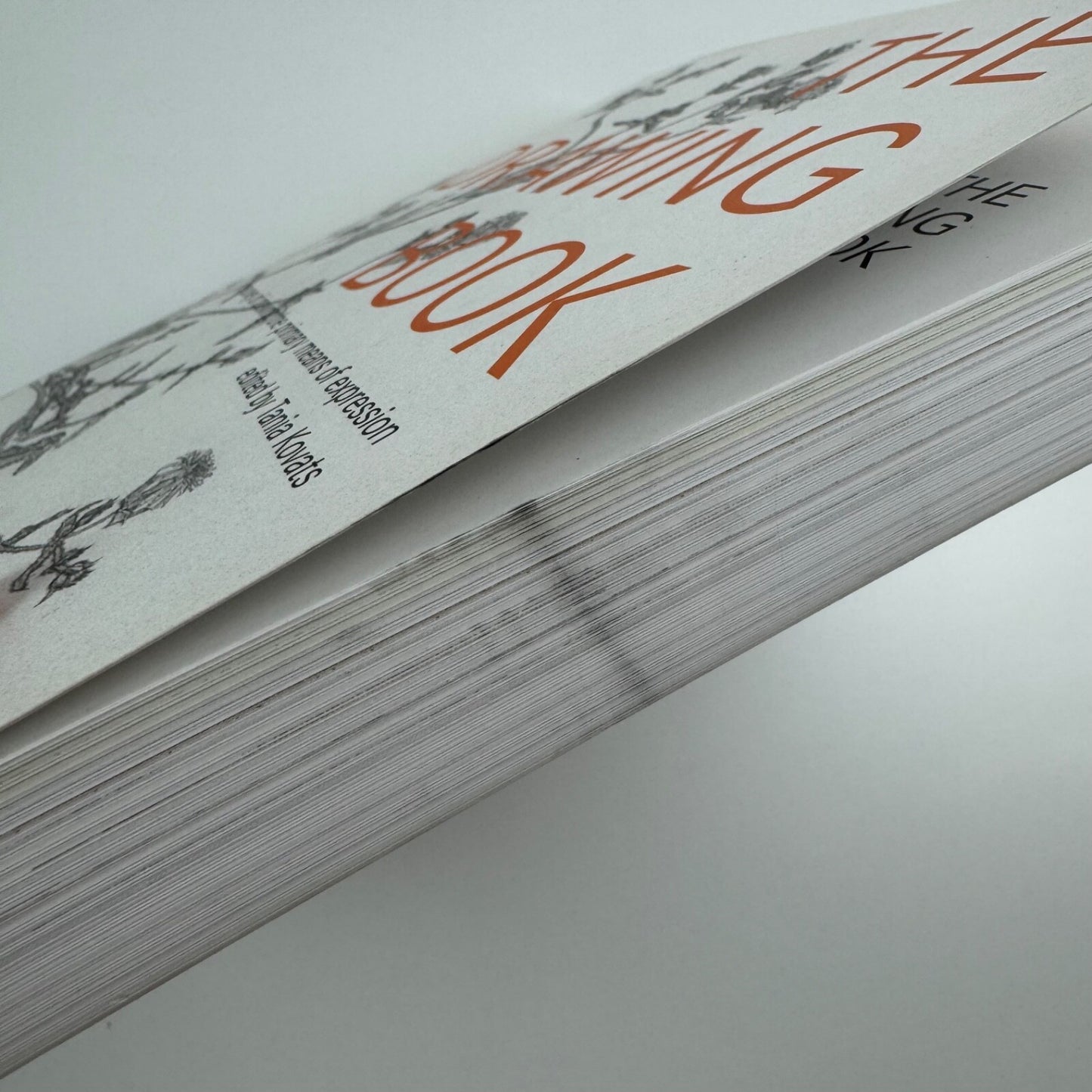 The Drawing Book. A survey of the primary means of expression ed Tania Kovats