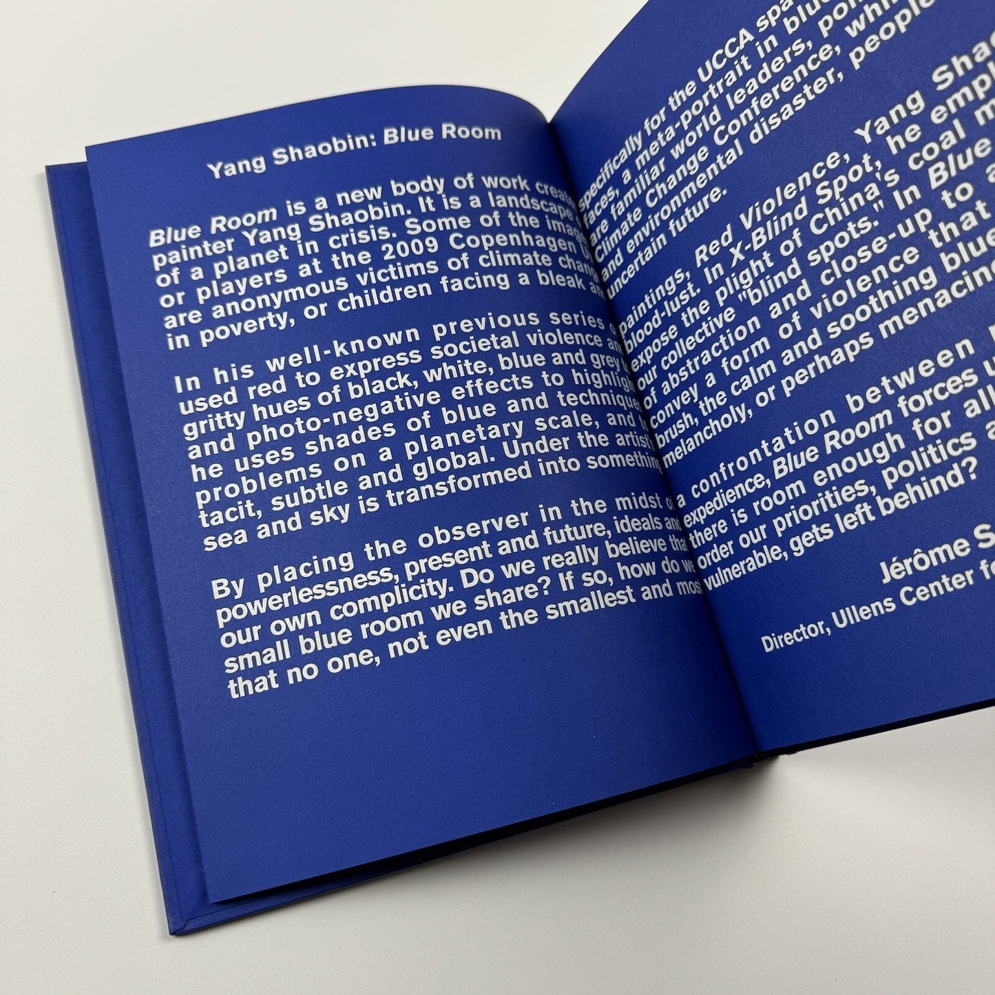 Blue Room. Yang Shao Bin | Ullens Center for Contemporary Art in Beijing, 2010 catalogue