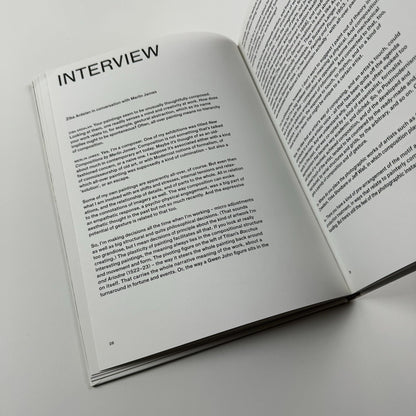Merlin James | Parasol unit, London 2013 exhibition catalogue