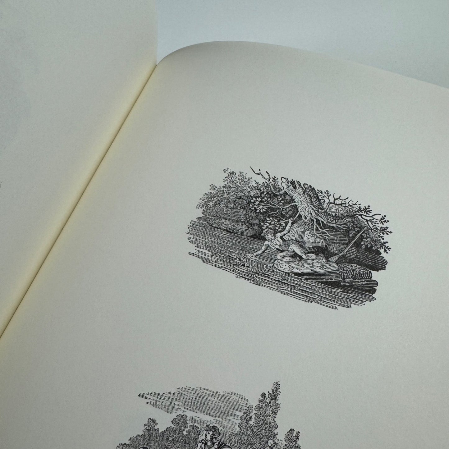 Thomas Bewick. Tale-pieces | Ikon Gallery, 2009