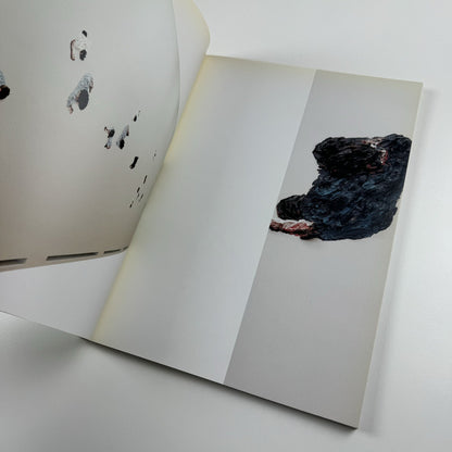 Clemens Krauss. Arbeit die wie ein Bild aussieht | Berlinische Galerie exhibition catalogue, 2007