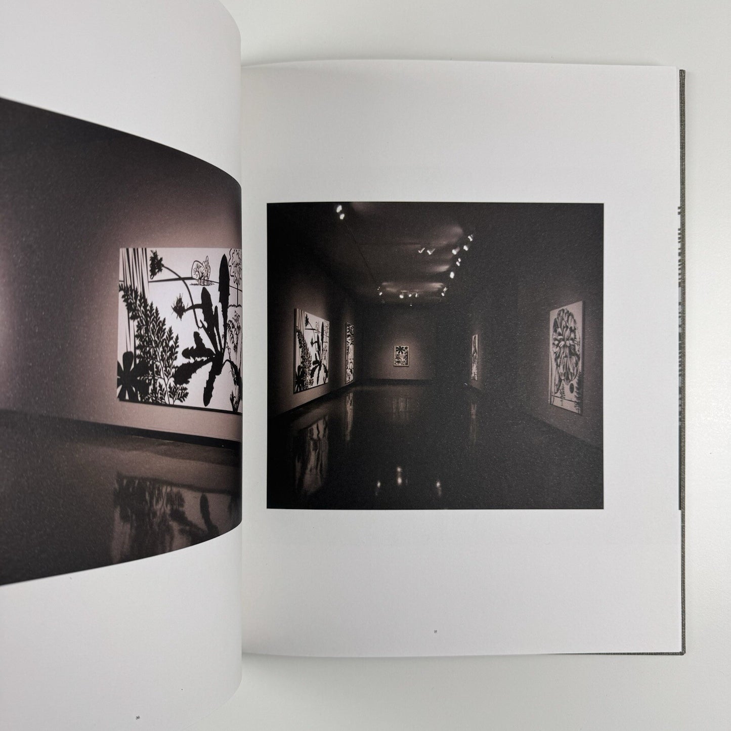 Paul Morrison | Los Angeles Art Museum exhibition catalogue, 2008