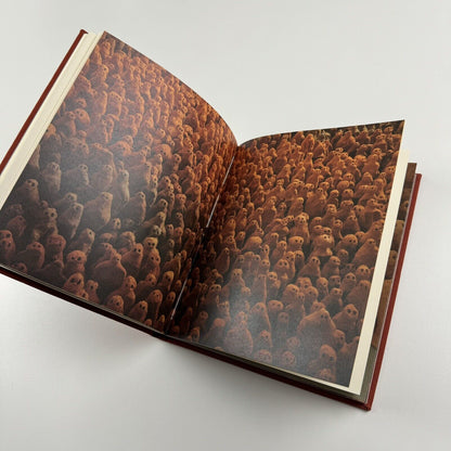 Antony Gormley Field for the British Isles 1996 |Edited by Oriel Mostyn  | Signed by the artist