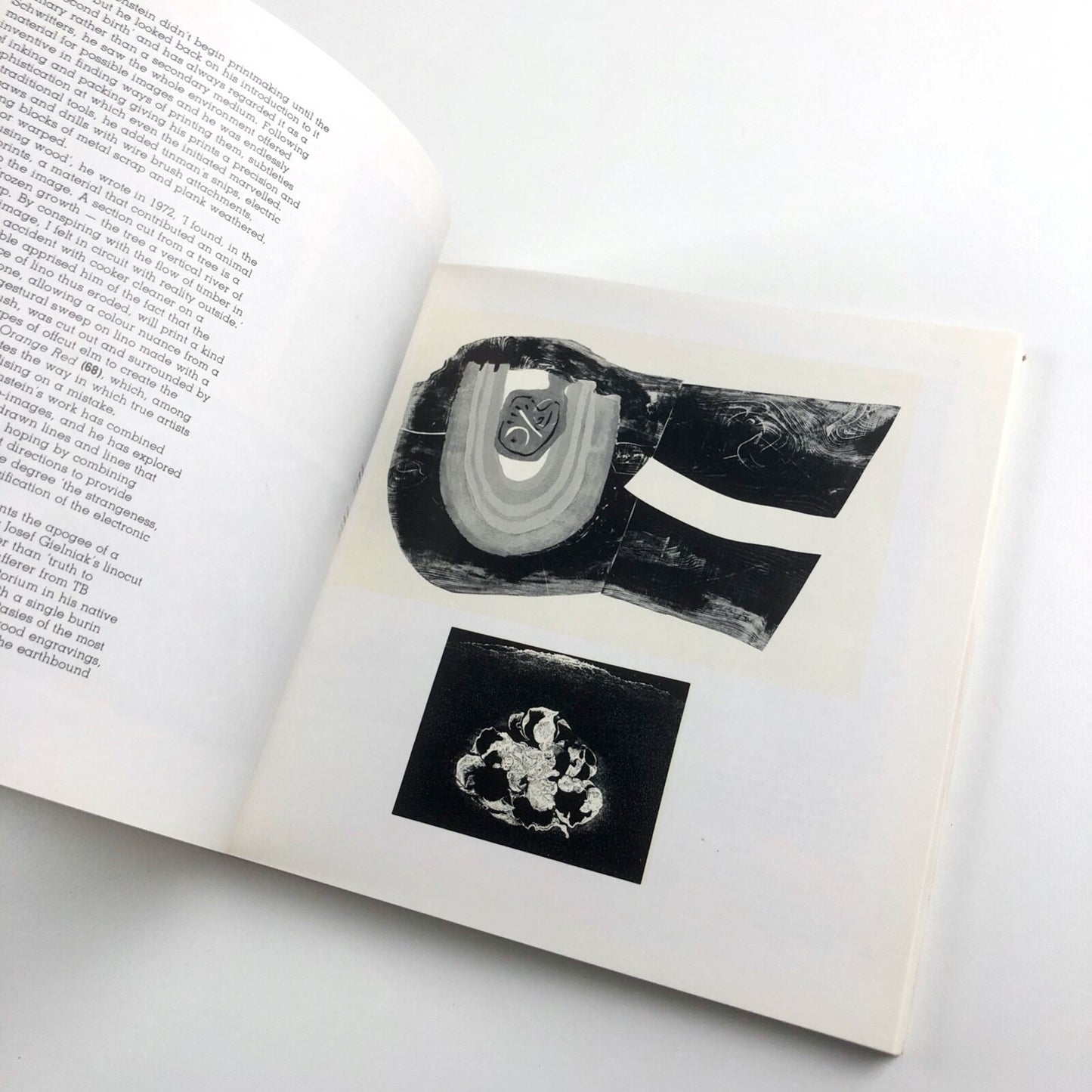 The Mechanised Image. An historical perspective on 20th century prints by Pat Gilmour | Arts Council 1978