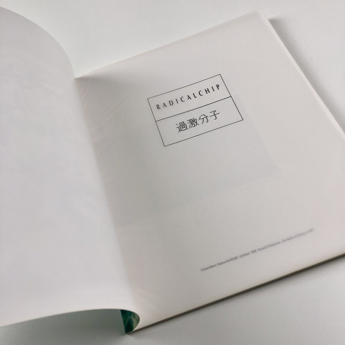 Radicalchip. Contemporary Art from Japan | Chapter, FFotogallery and Oriel 1991