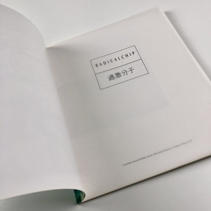 Radicalchip. Contemporary Art from Japan | Chapter, FFotogallery and Oriel 1991