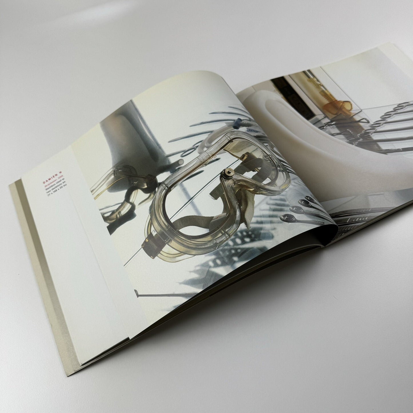 Physical World: An Exhibition of Painting and Sculpture | Gagosian Gallery New York, 2002