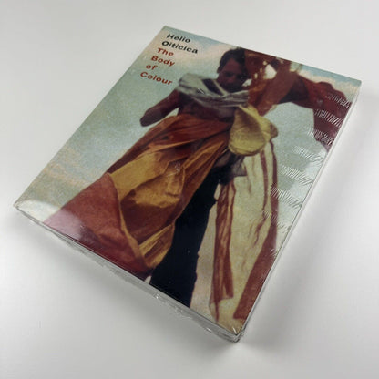 Hélio Oiticica. The Body of Colour | Museum of Fine Art Houston | Tate Modern, 2006/7