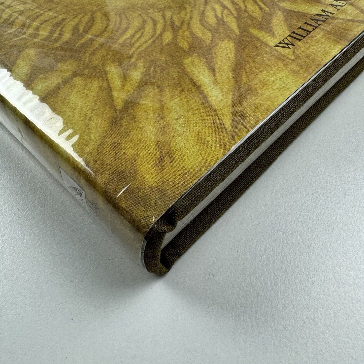 Cecil Collins. The Quest for the Great Happiness by William Anderson | Barrie & Jenkins,  1988