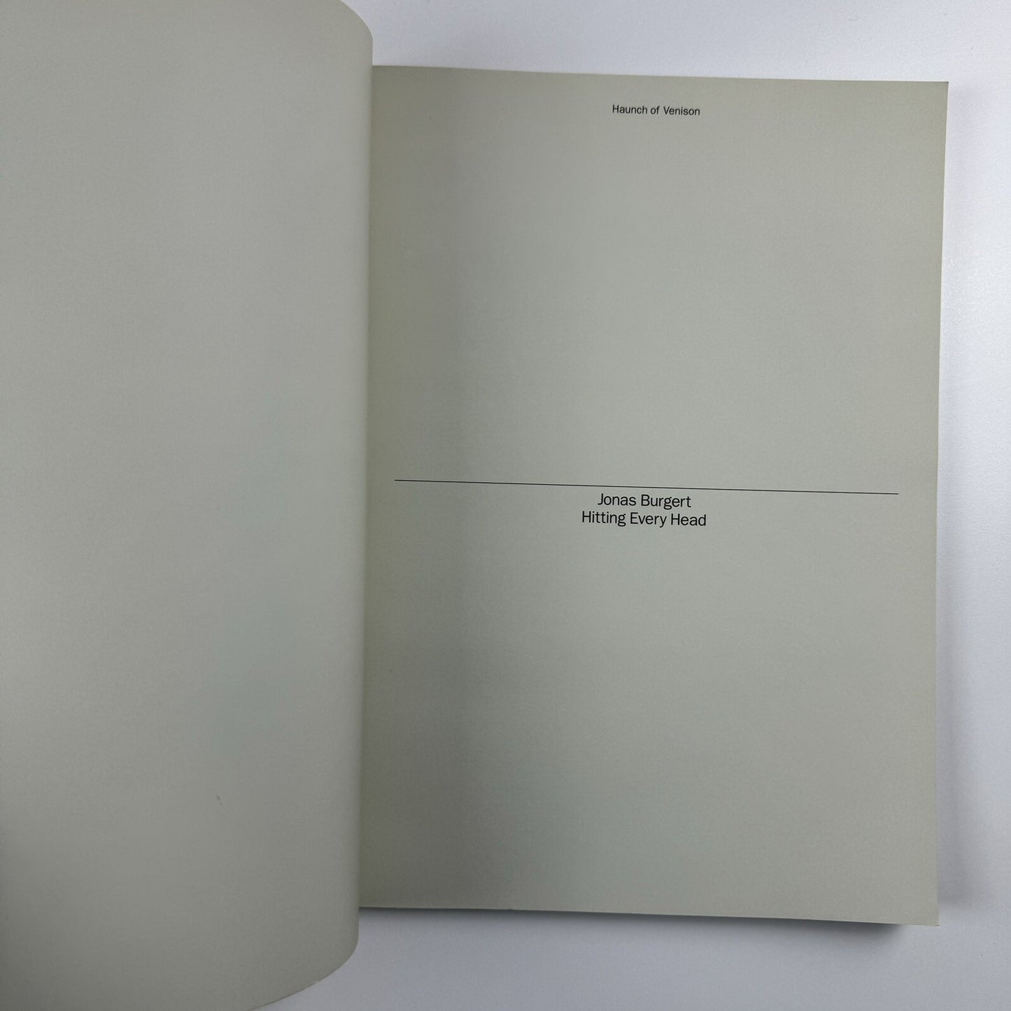 Jonas Burgert. Hitting Every Head | Haunch of Venison London, 2009 catalogue