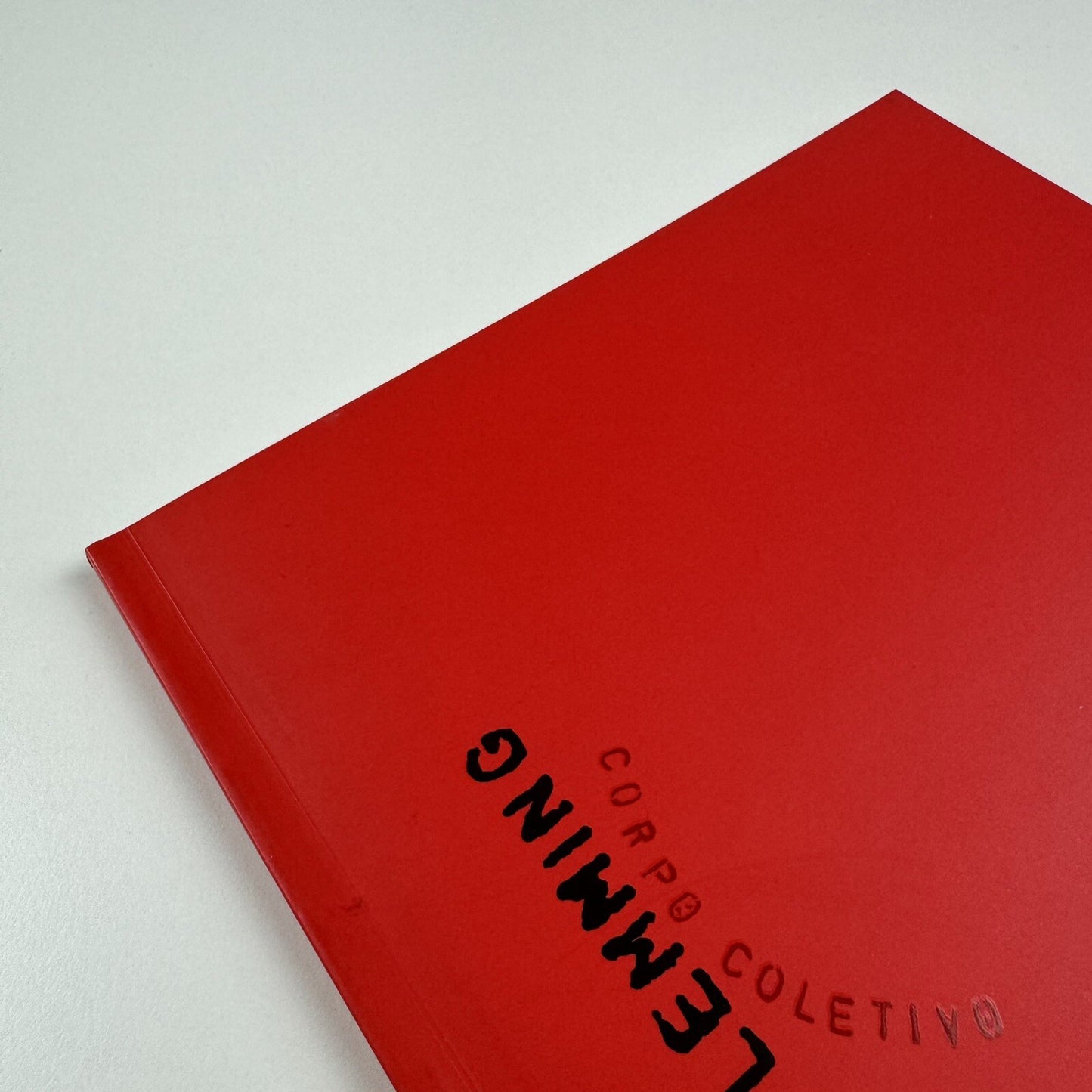 Alex Flemming | Corpo Coletivo | Centro Cultural, Banco de Brasil 2001 catalogue