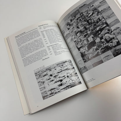 Polish Realities. New Art from Poland | Third Eye Centre Glasgow, 1988