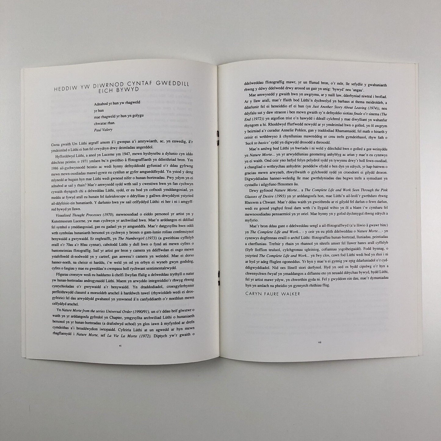 Urs Lüthi | Chapter (Cardiff) | Foreword by Stuart Cameron, 1994 leaflet