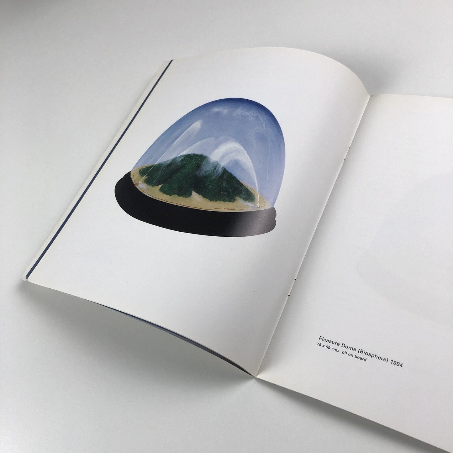 Pleasure-Dome Paintings by Christopher Cook | Essay by Tony Godfrey, 1995
