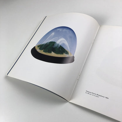 Pleasure-Dome Paintings by Christopher Cook | Essay by Tony Godfrey, 1995