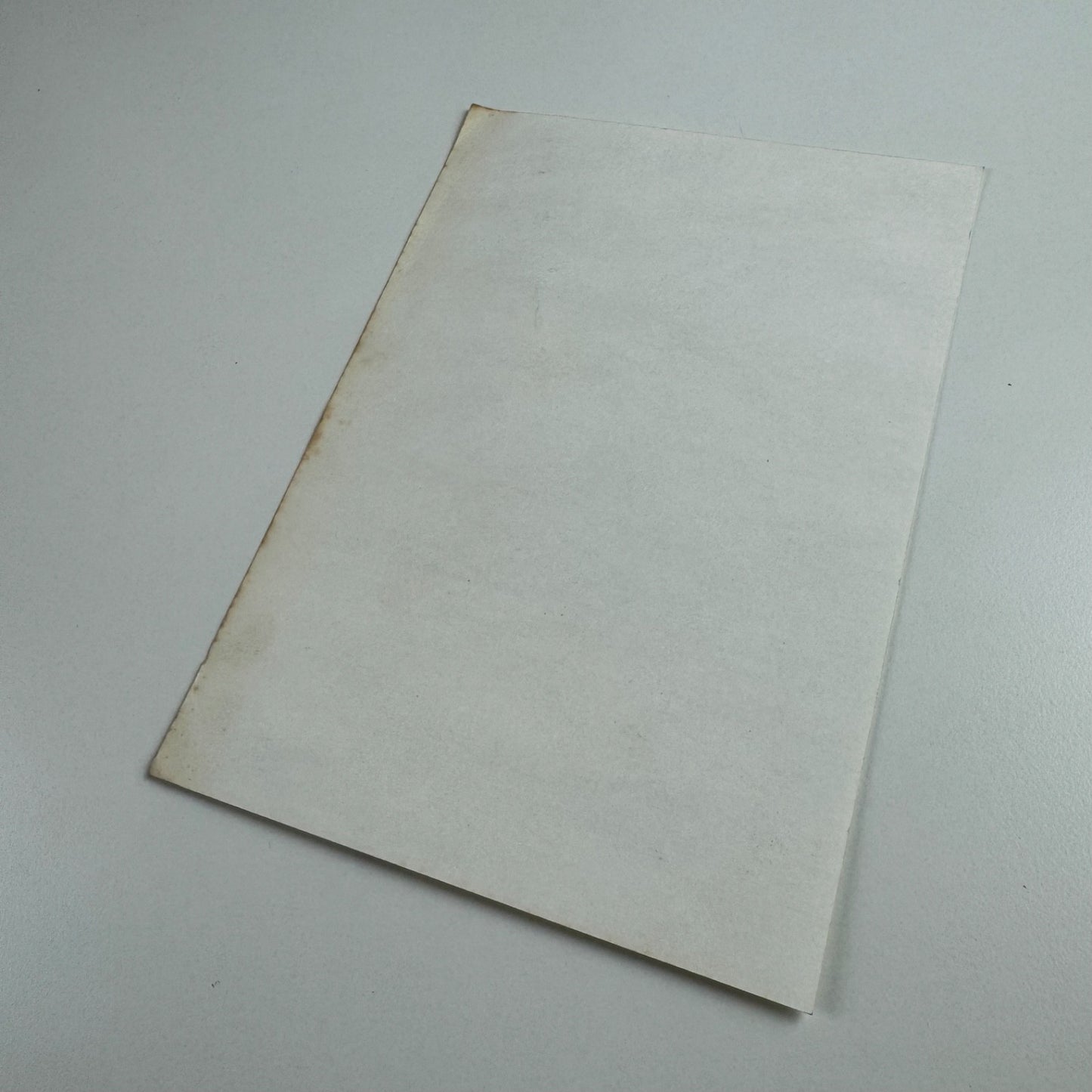 Promotional card for Edward Middleditch | Arts Council Serpentine Gallery 1988
